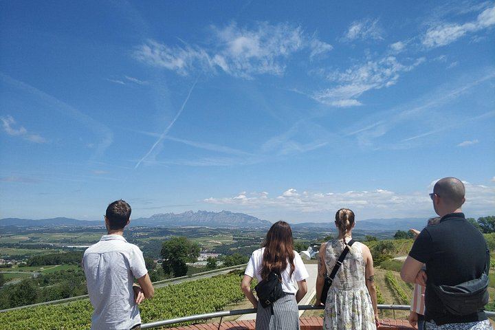 Private Penedès Wine and Cava Tasting Tour from Barcelona with Hotel Pickup (9/10)