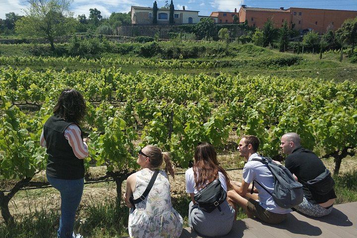 Private Penedès Wine and Cava Tasting Tour from Barcelona with Hotel Pickup (10/10)