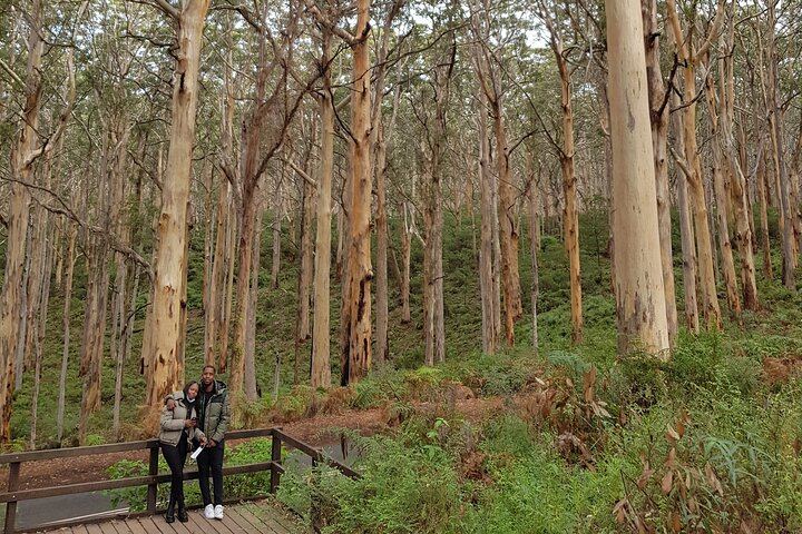 Fully Tailored Private Bespoke Margaret River Tour with Guided Walks, Tastings and Lunch (6/12)