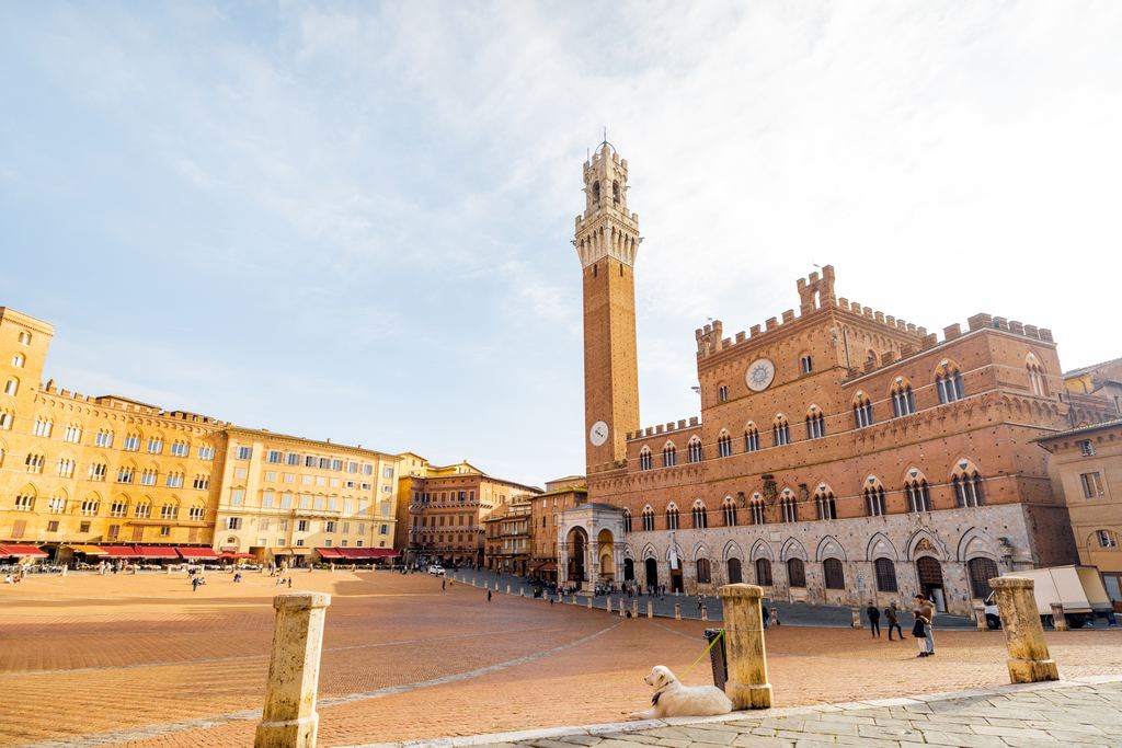 Piazza del Campo in Siena with the Torre del Mangia and Palazzo Pubblico