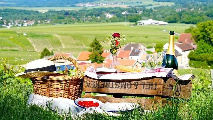 Champagne Day Trip from Paris: Mercier Cellar Train, Dom Caudron, Verzenay Vineyard Picnic (1/12)