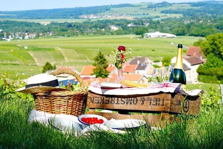 Champagne Day Trip from Paris: Mercier Cellar Train, Dom Caudron, Verzenay Vineyard Picnic (1/12)