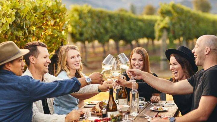 Picton Cruise Shore Excursion: Four Family-Run Marlborough Wineries by Minibus (2/12)