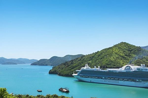 Picton Cruise Shore Excursion: Four Family-Run Marlborough Wineries by Minibus
