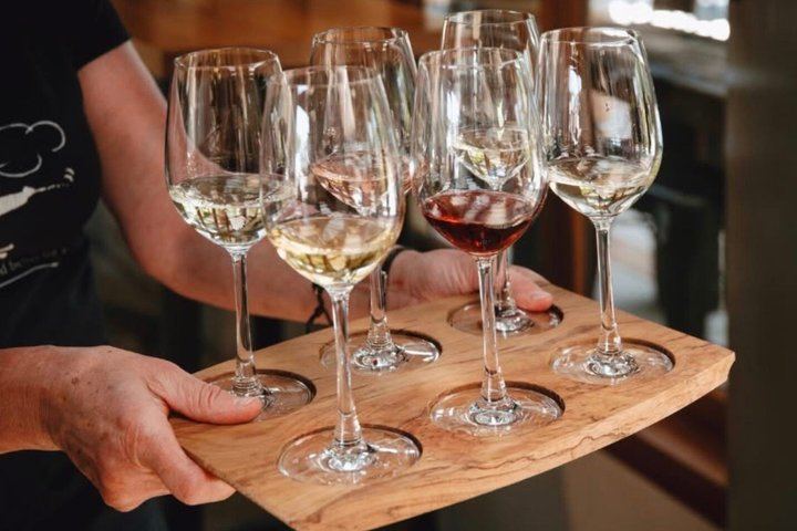 Picton Cruise Shore Excursion: Four Family-Run Marlborough Wineries by Minibus (8/12)