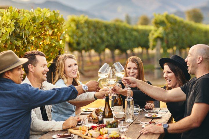 Picton Cruise Shore Excursion: Four Family-Run Marlborough Wineries by Minibus (2/12)