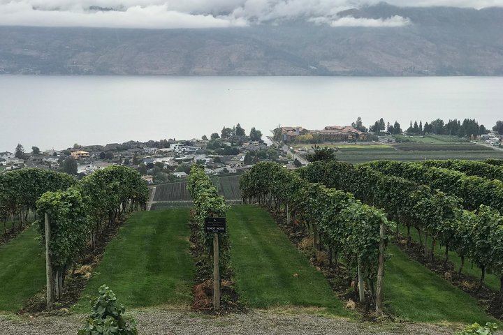 Full-Day Okanagan Wine Tour: Mission Hill, Quails' Gate and Two More Wineries, Lunch Stop (3/9)
