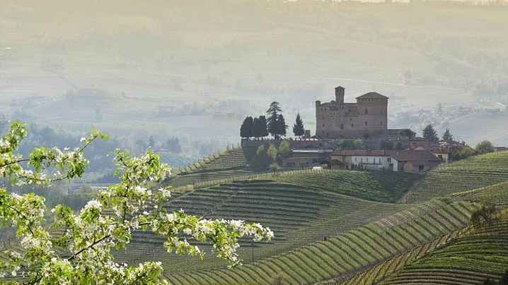 Castiglione Falletto Family Winery Tour: Barolo, Barbaresco and Seven Wines (3/12)