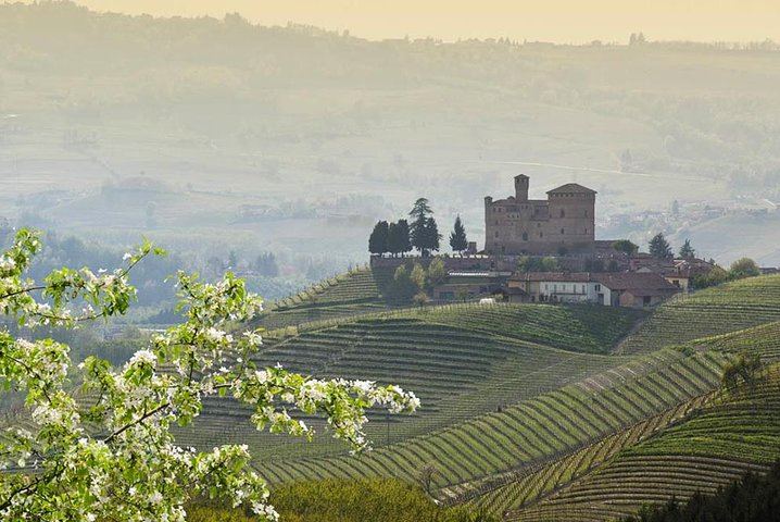 Castiglione Falletto Family Winery Tour: Barolo, Barbaresco and Seven Wines (3/12)