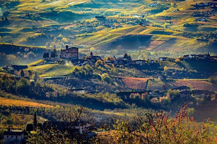 Castiglione Falletto Family Winery Tour: Barolo, Barbaresco and Seven Wines (9/12)