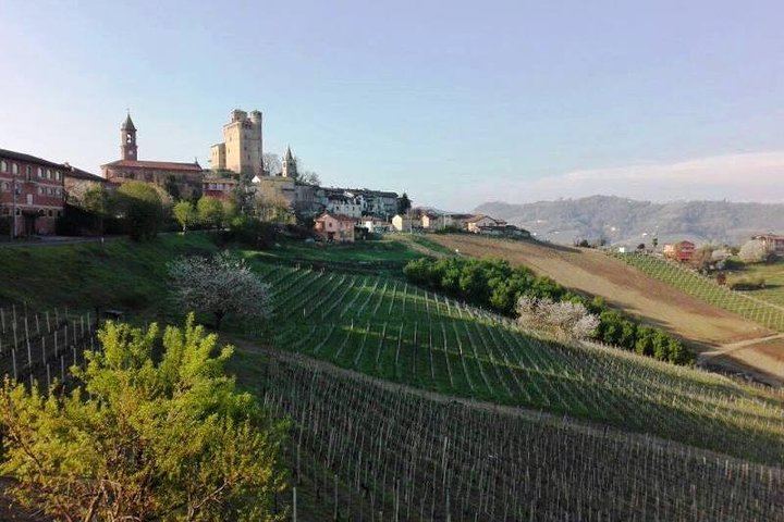 Castiglione Falletto Family Winery Tour: Barolo, Barbaresco and Seven Wines (8/12)