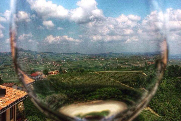 Castiglione Falletto Family Winery Tour: Barolo, Barbaresco and Seven Wines (10/12)
