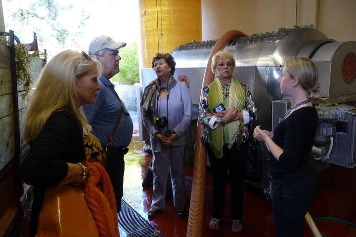 Private 8-Hour Tour from Siena: Capanna di Cencioni Wine, Pienza and Val d'Orcia (7/12)