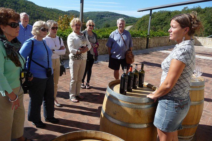 Private 8-Hour Tour from Siena: Capanna di Cencioni Wine, Pienza and Val d'Orcia (11/12)