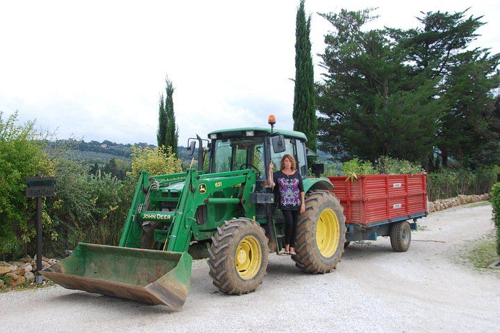 Private 8-Hour Tour from Siena: Capanna di Cencioni Wine, Pienza and Val d'Orcia (5/12)