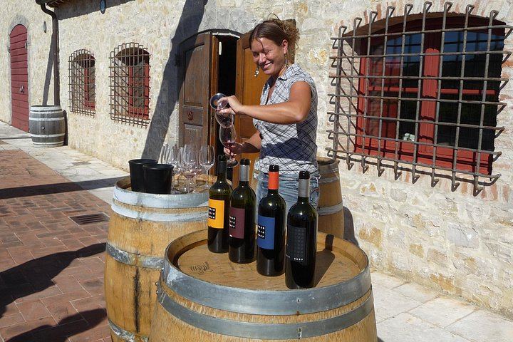 Private 8-Hour Tour from Siena: Capanna di Cencioni Wine, Pienza and Val d'Orcia (12/12)