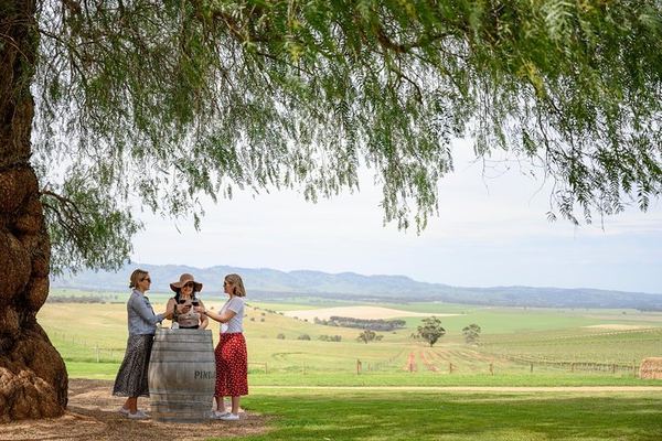 All-Inclusive Barossa Food and Wine Day Tour: Pindarie, Lambert Estate, Chateau Tanunda