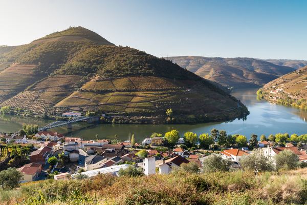 Small-Group Douro Valley Wine Tours