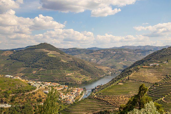 Private 9-Hour Douro Tour: Amarante, Galafura, Rabelo Cruise, Lunch and Estate Tasting (7/12)