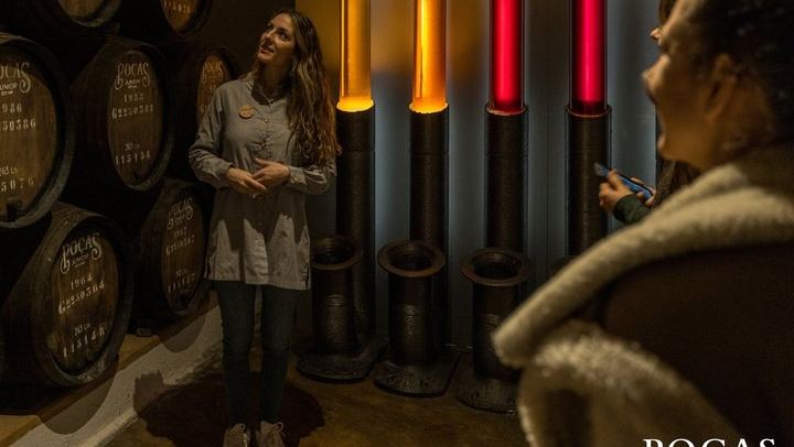 Poças Guided Cellar Visit and Tasting of Two DOC Douro Wines and One Port Wine (2/6)