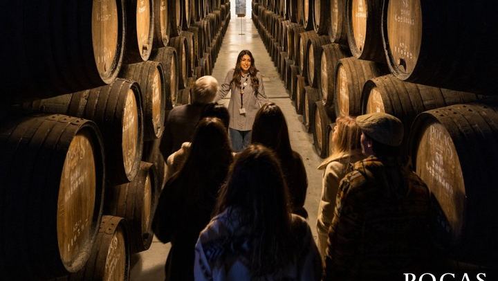 Poças Guided Cellar Visit and Tasting of Two DOC Douro Wines and One Port Wine (1/6)
