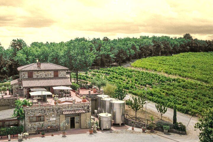 Private Chianti Classico Tour by Mercedes E-Class: Poggio Amorelli Lunch, Gabbiano Castle (12/12)