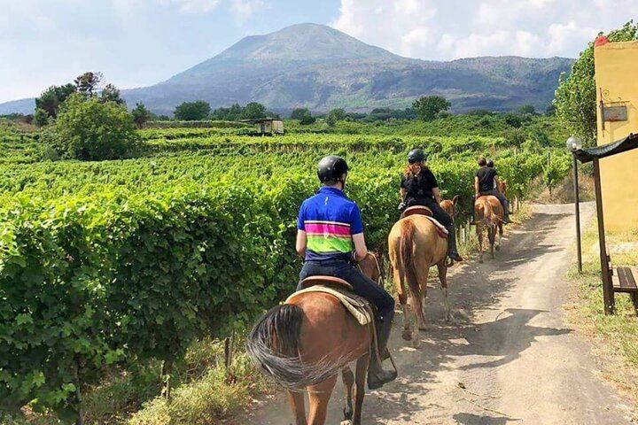 Vesuvius Night Horseback Ride with Winery BBQ and Wine, Roundtrip Transfer from Pompeii (5/12)