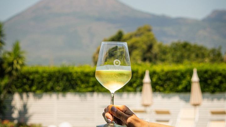Pompeii Estate Pool Day with Wine Tasting and Vesuvio Menu Dishes, Maximum Four Guests (3/4)