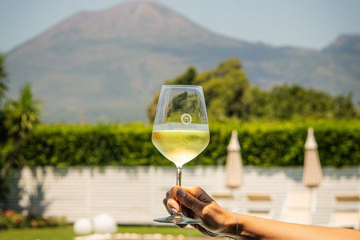 Pompeii Estate Pool Day with Wine Tasting and Vesuvio Menu Dishes, Maximum Four Guests (3/4)