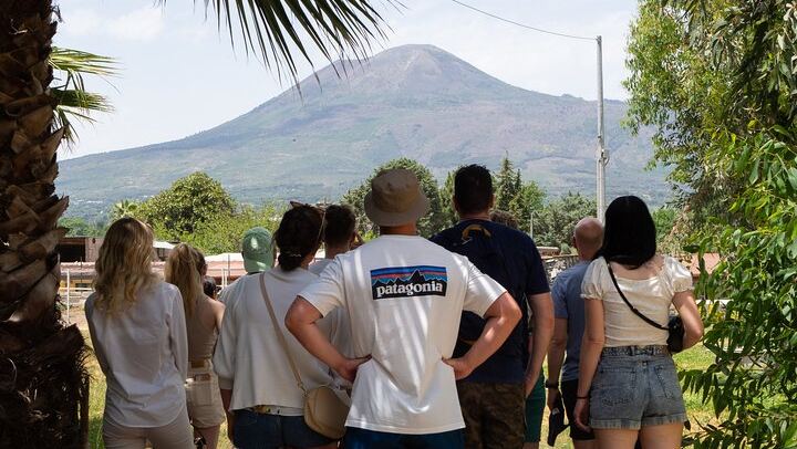 Private Wine Tasting and Lunch at Bosco de' Medici Winery Beside Pompeii's Ruins (2/12)