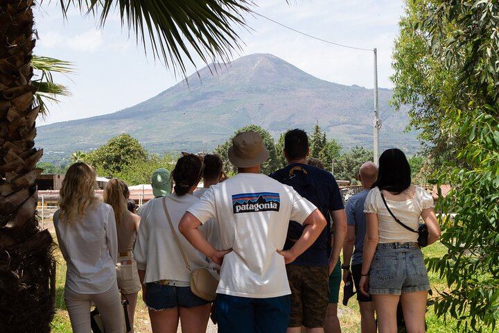 Private Wine Tasting and Lunch at Bosco de' Medici Winery Beside Pompeii's Ruins (2/12)