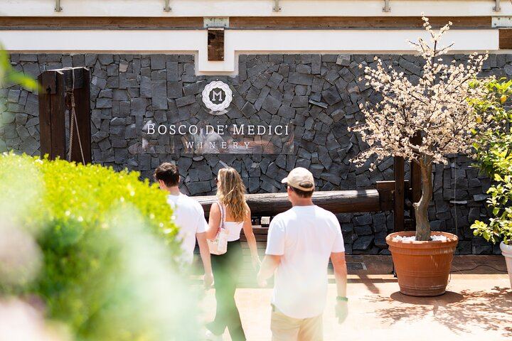Private Wine Tasting and Lunch at Bosco de' Medici Winery Beside Pompeii's Ruins (12/12)