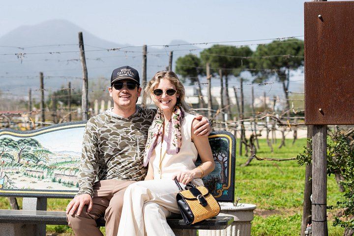 Private Wine Tasting and Lunch at Bosco de' Medici Winery Beside Pompeii's Ruins (6/12)