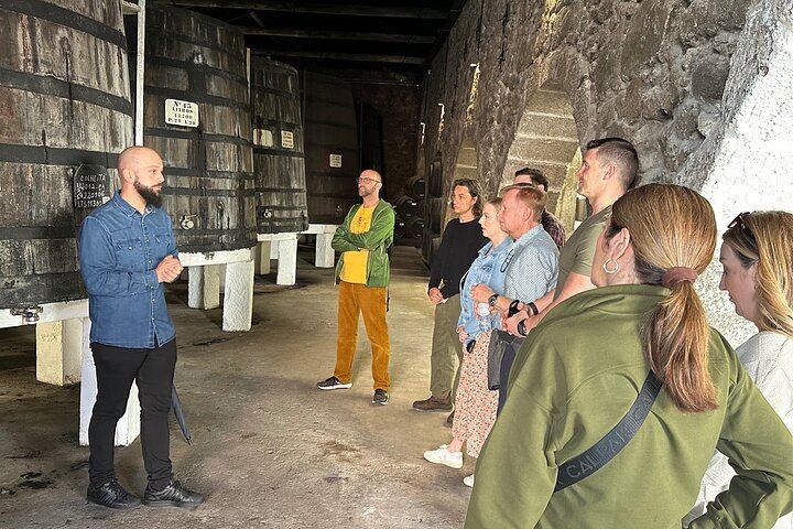 Sogevinus 19th-Century Port Cellar Visit in Vila Nova de Gaia, 4 Port Tastings (1/12)