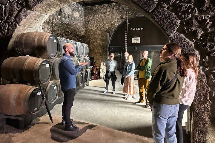 Sogevinus 19th-Century Port Cellar Visit in Vila Nova de Gaia, 4 Port Tastings (9/12)