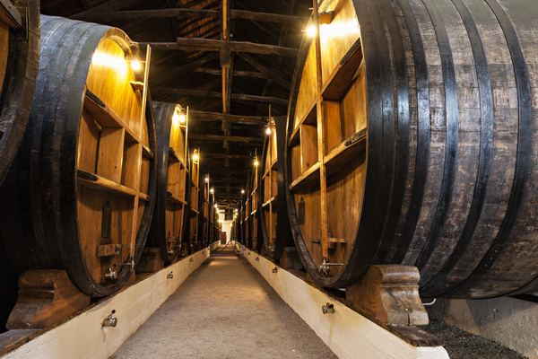 Port Wine Cellars in Porto