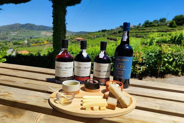 Lamego Guided Wine Tasting at Quinta de Sequeiros with Olive Oil and Honey