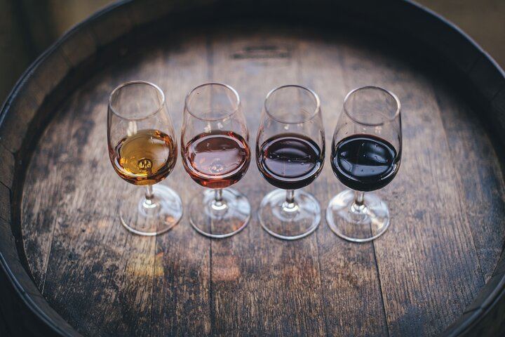 Private Douro Valley Tour Built Your Way: Choose Estates, Lunch, Boat and Family Add-Ons (12/12)