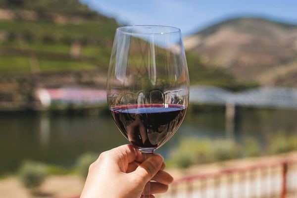 Douro Three-Winery Small-Group Tour from Porto: Régua, Lunch and Sabrosa Tasting