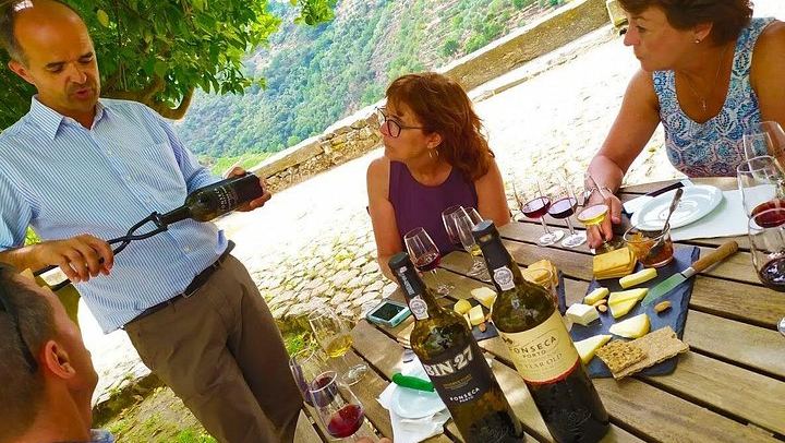 Douro Valley Mercedes Van Day Trip from Porto: Two Family Wineries and Boat Cocktail (1/12)