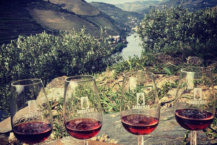 Premium Private Douro Valley Wine Tour with Hotel Pickup and Safe Travels (11/12)