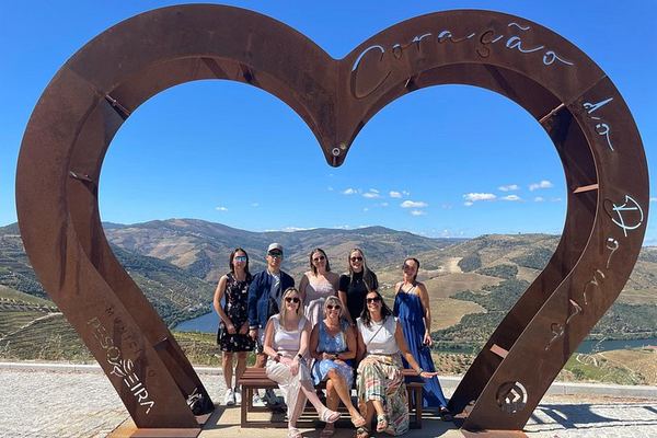 Douro Valley Wine Day from Porto with Sommeliers: Two Family Wineries, Lunch, Boat