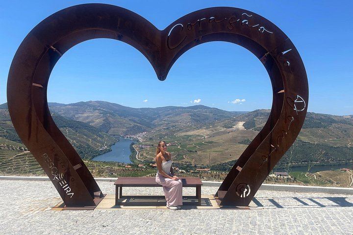 Douro Valley Wine Day from Porto with Sommeliers: Two Family Wineries, Lunch, Boat (1/12)