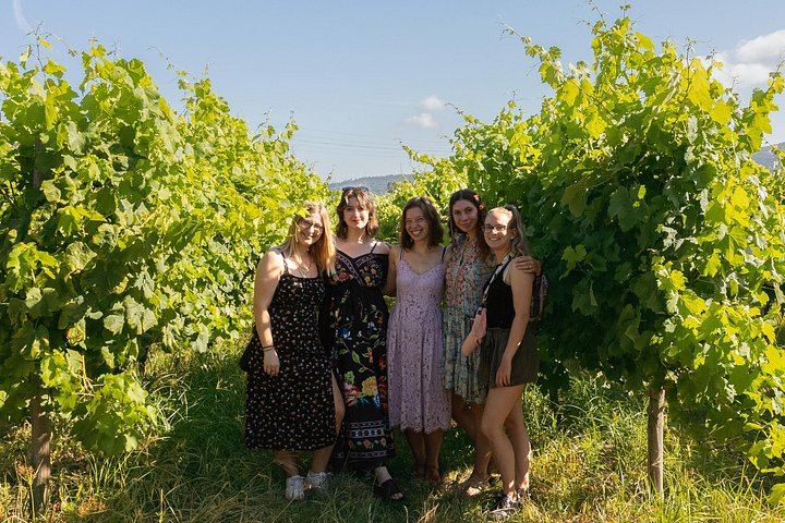 Douro Valley Wine Day from Porto with Sommeliers: Two Family Wineries, Lunch, Boat (4/12)