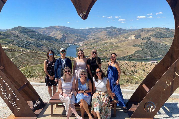 Douro Valley Wine Day from Porto with Sommeliers: Two Family Wineries, Lunch, Boat (2/12)