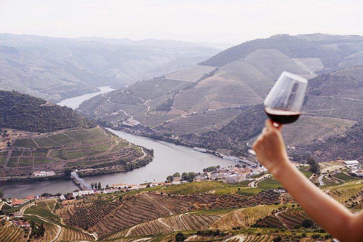 Douro Valley Wine Day from Porto with Sommeliers: Two Family Wineries, Lunch, Boat (6/12)