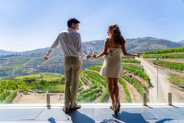 Douro Valley by Road, Scenic Train and Boat from Porto: Port Tasting and Lunch, 8 Hours