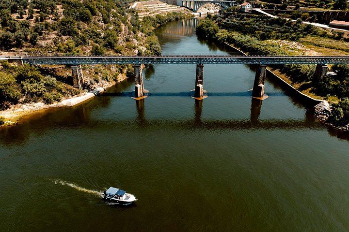Douro Valley by Road, Scenic Train and Boat from Porto: Port Tasting and Lunch, 8 Hours (5/12)