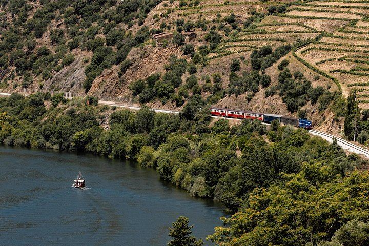 Douro Valley by Road, Scenic Train and Boat from Porto: Port Tasting and Lunch, 8 Hours (6/12)
