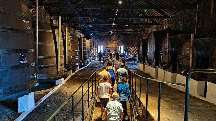 Porto Small-Group Port and Douro Wine Tour in Gaia: Three Lodges, Nine Tastings (2/12)